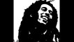 Curiosidades de Bob Marley