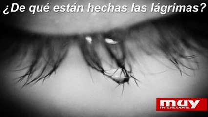 Curiosidades sobre las lágrimas