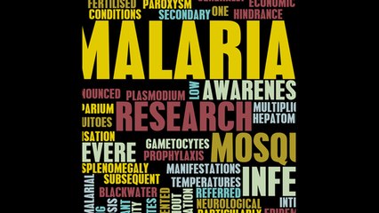 Día Mundial de la Malaria