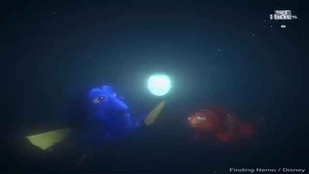 Buscando Nemo cumple 15 años