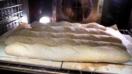 Curso de pan casero. ¿Necesito una piedra de horno?