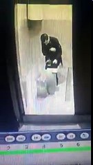 Bunu yapan insan: Camide kediye işkence!