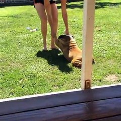 Hey man, what's the rush!   