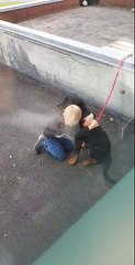 films his son hugging their dog because he was shaking