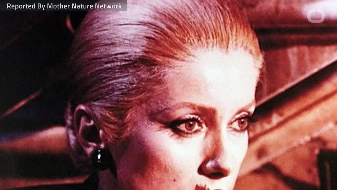 Impaled Skeletons Reveal Pagans' Fear Of Vampires