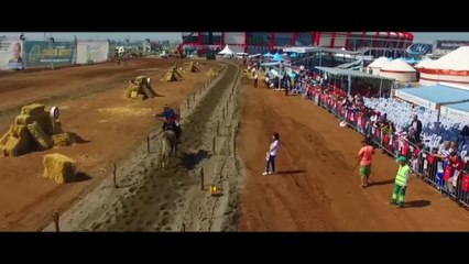 Karesi Belediyesi ödüle doymuyor