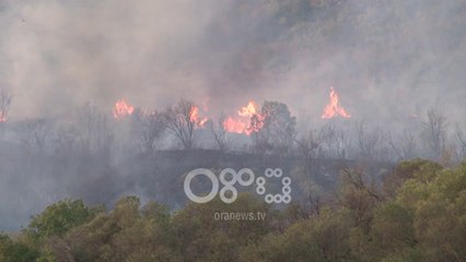 Ora News - Zjarr në Malin e Taraboshit