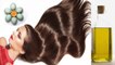 Egg Oil: Benefits for Hair | अंडे के तेल से पाएं लम्‍बे, घने और सुंदर बाल | Boldsky