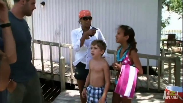 Unwelcome Gator In The Family Swimming Pool Gator Boys