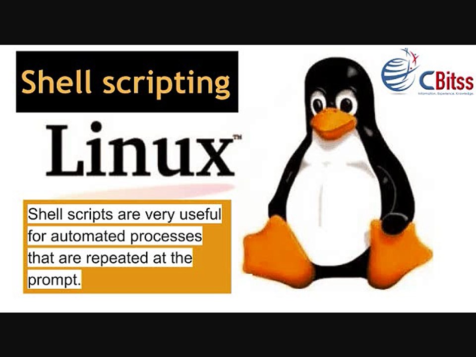 Shell Scripting