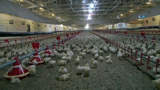 Yöneticiliği bıraktı, aldığı destekle kendi işinin patronu oldu