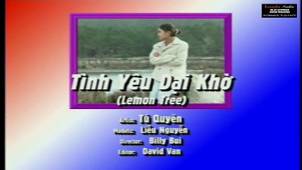 Tình Yêu Dại Khờ - Tú Quyên