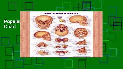 Popular The Human Skull Anatomical Chart