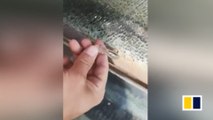 Pane shatters on glass walkway in China
