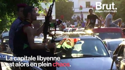 De Bagdad à Mossoul, il traverse des zones de guerre pour y sauver les animaux