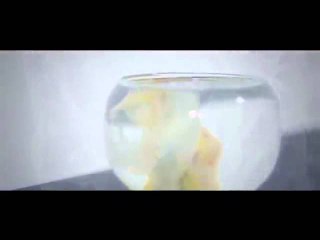 Nếu Như Ta Cách Xa - Bảo Thy - Hồ Quang Hiếu - Official Trailer (10-00 - 10-01-2016)