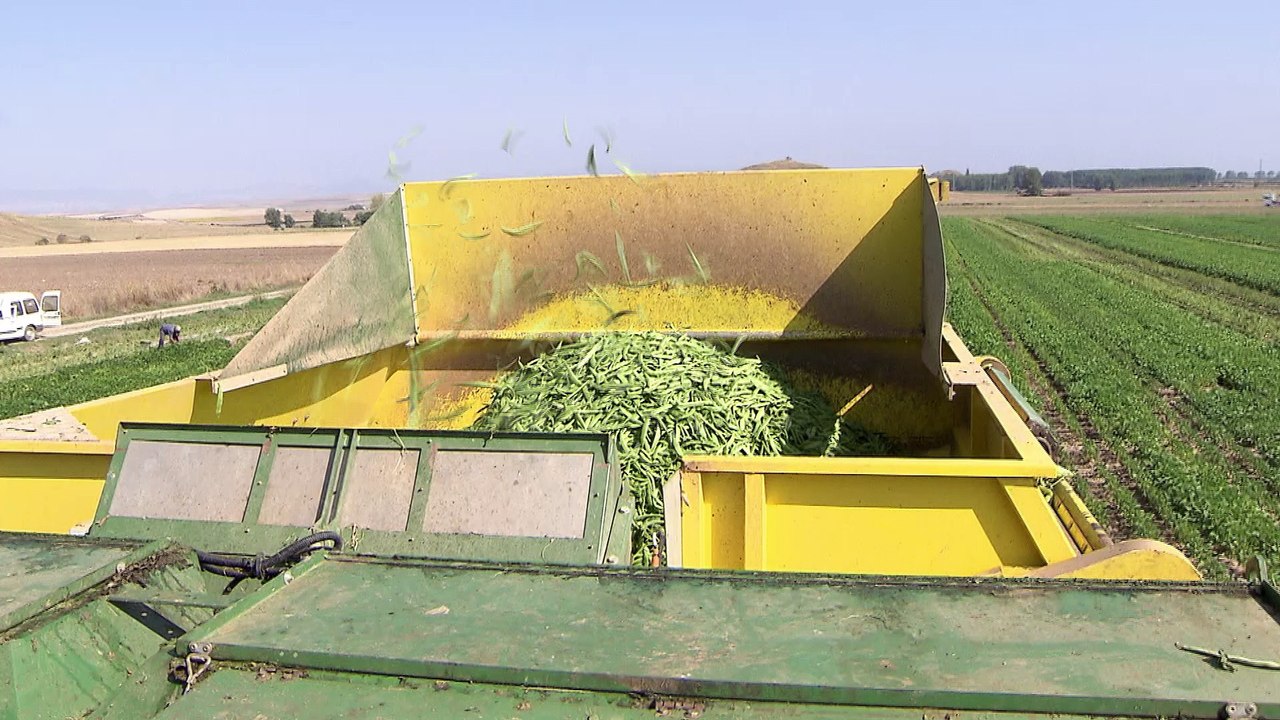 Las verduras congeladas permiten llevar una dieta saludable y variada