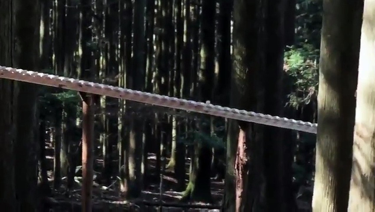 Une musique créée uniquement avec une boule qui roule sur des morceaux de bois