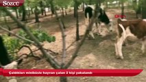 Çaldıkları minibüsle hayvan çalan 2 kişi yakalandı