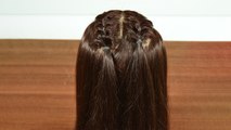 Hairstyle Tutorial: खुले बालों में बनायें Double Dutch Braid Hairstyle | Boldsky