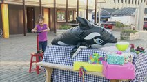 Blow-Up Dolphin Blows Up Too Quick ! Prank