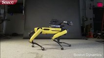 Boston Dynamics'in Robot Köpeği