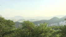 [부산] 공원일몰제 대상 토지 매입...녹지공간 유지 / YTN