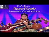 Maestro E Gayathri Veena | Sindhu Bhairavi | Instrumental | Carnatic Classical | Art and Artistes