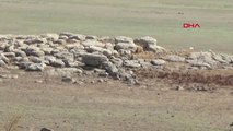Gaziantep Baraj Suyu Çekilince Arkeoloji Parkı Yeniden Ortaya Çıktı