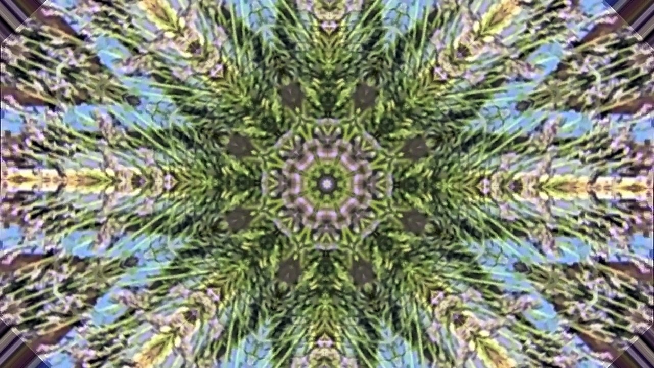 04101TrashRecPI  -  403 NEW CLIP /Full Film/Complete Movie/Ganzer Film