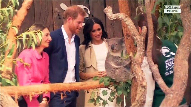 Meghan Markle enceinte : le prince Harry et la duchesse prêts et excités