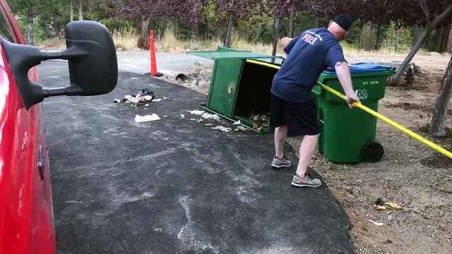 Trois oursons sauvés d’une poubelle