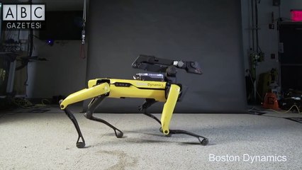 Robot teknolojisi son hız gelişiyor: Şimdi de dans eden robot