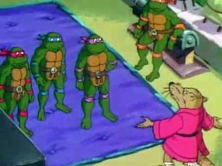 Teenage Mutant Ninja Turtles S03 E40 - Michaelangelo's Birthday