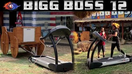 Bigg Boss 12 introduce interesting Luxury Budget Ghoda -Gaadi Task; Know full details | FilmiBeat