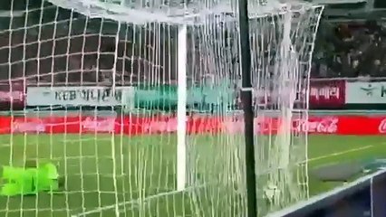 South Korea vs Panama 2-2 All Goals & Highlights
