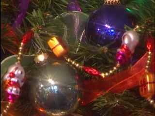 Baby Einstein  Baby Santa's Music Box