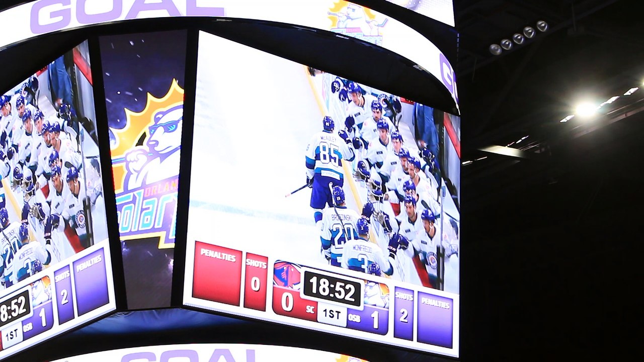 solar bears 2018