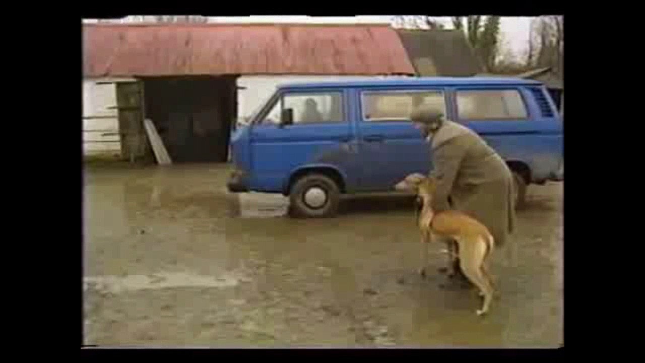 Funny Glenroe Voice Over Part 3 - Roaring Tom!