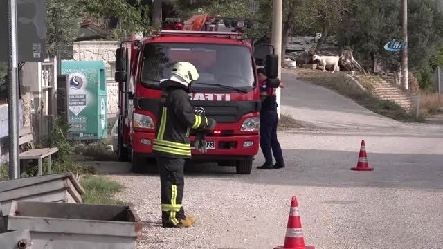 Boğulmak Üzere Olan Yavru Köpekleri İtfaiye Kurtardı