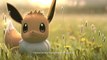 Pokémon GO  - Découvrez l’étendue de ce nouveau monde (Sinnoh)