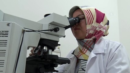 Türk patolog dünyada en etkin 100 isim arasına girdi - KONYA