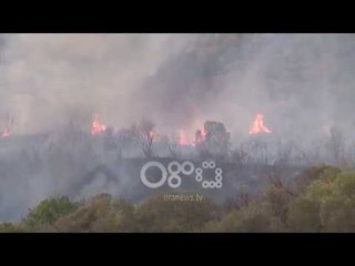 Скачать видео: Ora News - Shkodër, 1500 rrënjë ullinj dhe 10 ha u shkrumbuan nga zjarri në malin e Taraboshit