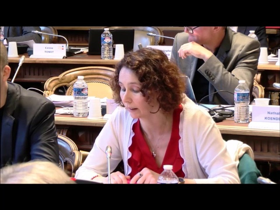 Sandrine HILY. Avis relatif au projet de parc national. 15 octobre 2018
