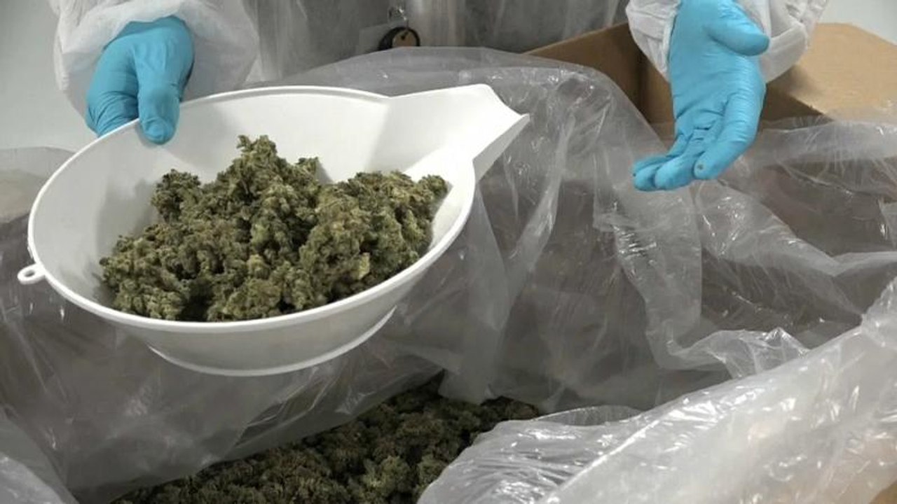 Kanada: Große Hoffnungen auf Cannabis-Legalisierung