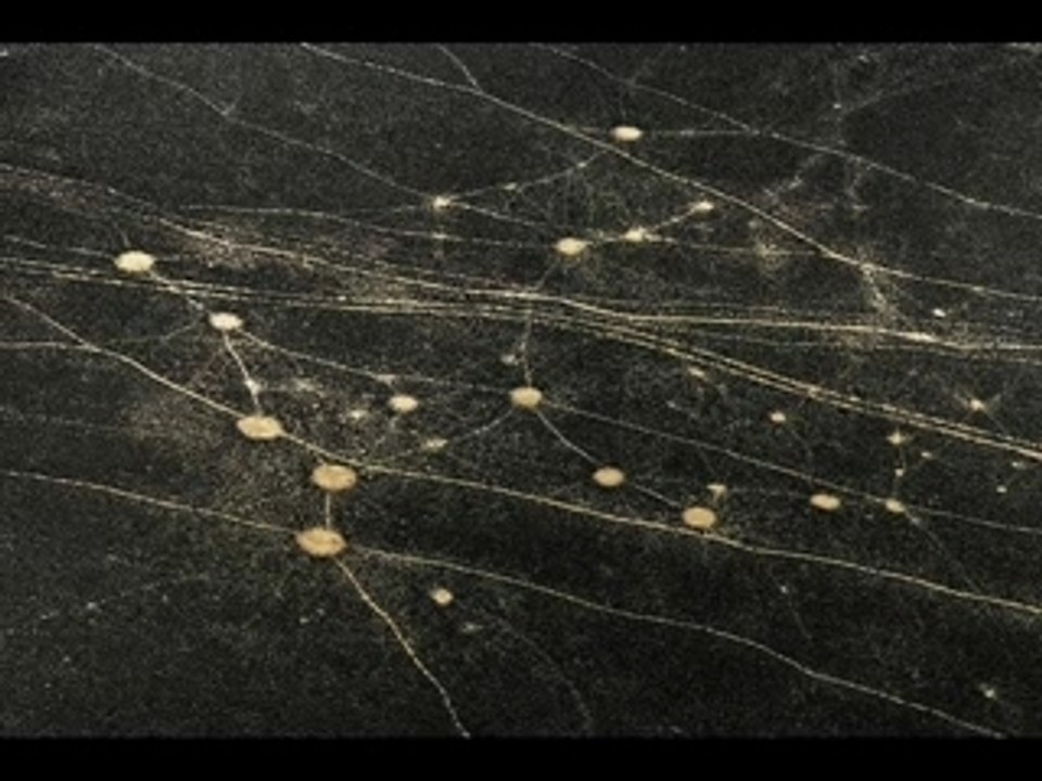 Algérie vue du ciel (Algeria from above)