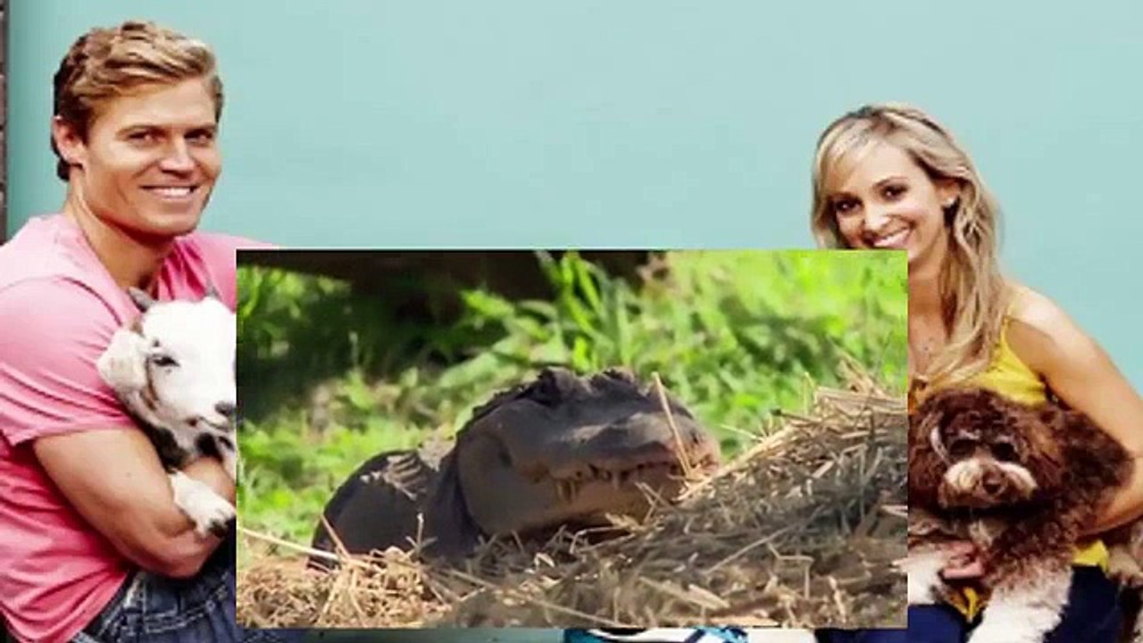 Bondi Vet S06 E08