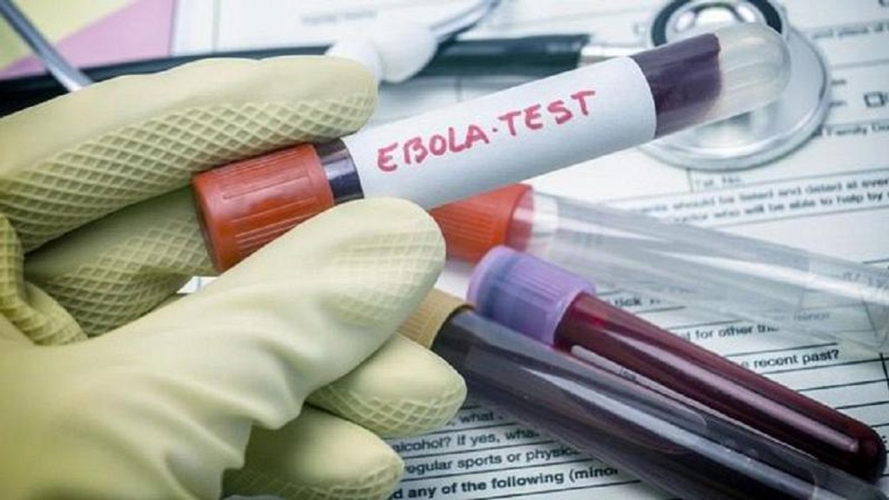 WHO to meet on Congo's Ebola outbreak as toll soars