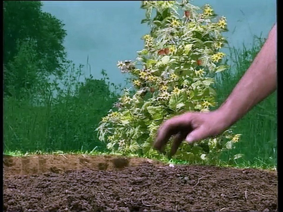 Agriculture