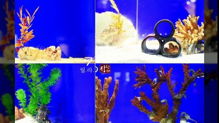 영월출장안마【카톡FSD502】net㎧ 영월출장마사지 영월출장샵 ㄺ 영월오피쓰걸 영월오피쓰걸 ㉹영월모텔출장 リ영월출장만남 영월출장아가씨